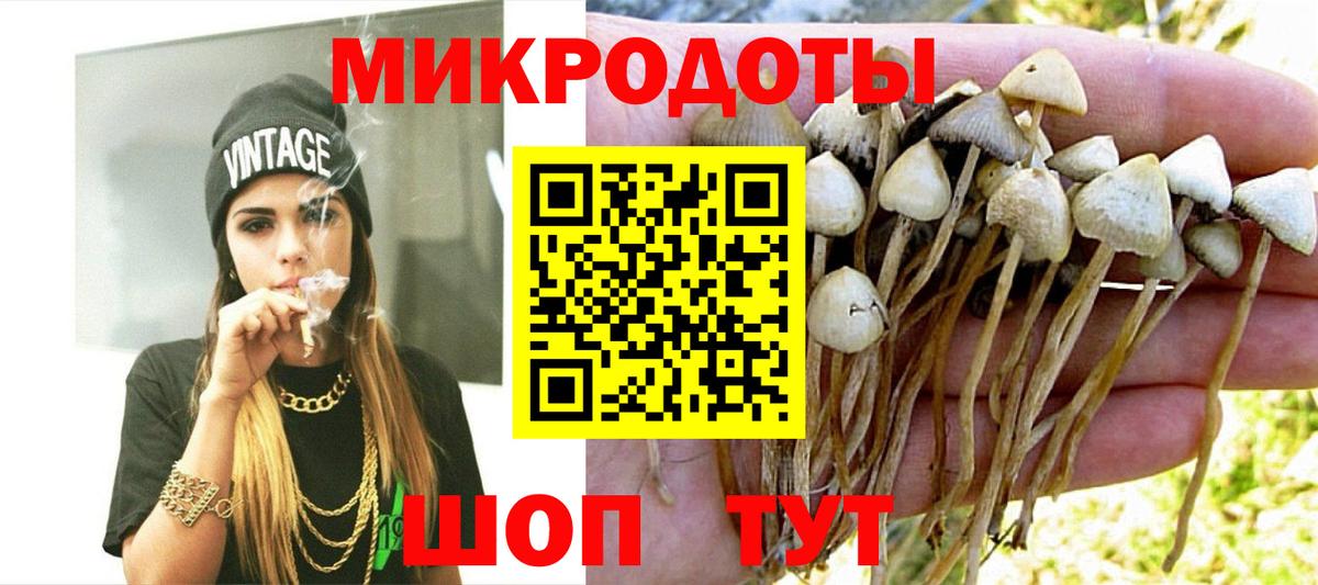 Алексин  Псилоцибиновые грибы Cubensis  Вход с VPN  Псилоцибиновые грибы MAGIC MUSHROOMS 